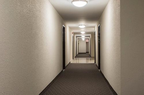 1 bedroom apartment for rent in Sherbrooke — photo 2