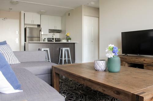 1 bedroom apartment for rent in Montreal - Le Plateau-Mont-Royal — photo 4