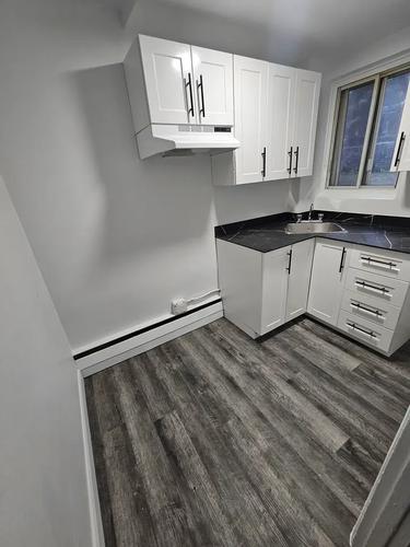 2 bedrooms apartment for rent in Montreal - Rosemont–La Petite-Patrie — photo 3