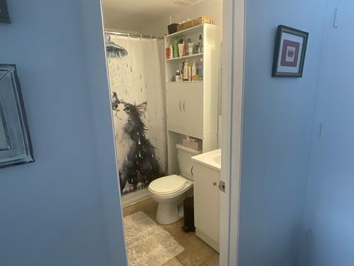 Appartement de 1 chambre à louer à Saint-Lambert (Montérégie) — photo 8