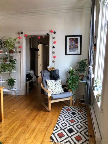 Appartement de 1 chambre à louer à Montreal - Le Plateau-Mont-Royal — photo 7