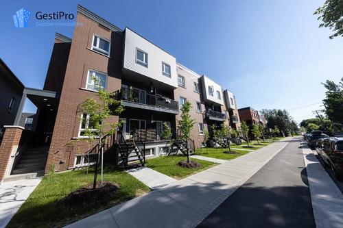 Appartement de 3 chambres à louer à Québec - La Cité-Limoilou — photo 19