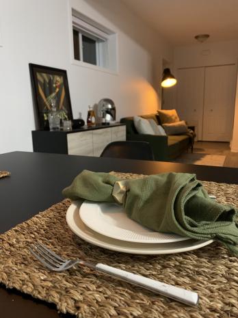 1 bedroom apartment for rent in Gatineau — photo 7