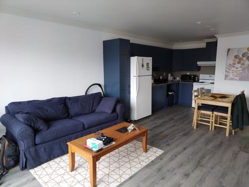 1 bedroom apartment for rent in Montreal - Ville-Marie — photo 2