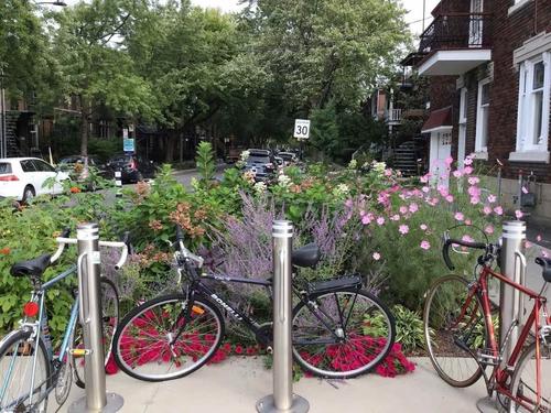 1 bedroom apartment for rent in Montreal - Rosemont–La Petite-Patrie — photo 23