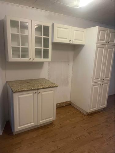1 bedroom apartment for rent in Montreal - Rosemont–La Petite-Patrie — photo 12