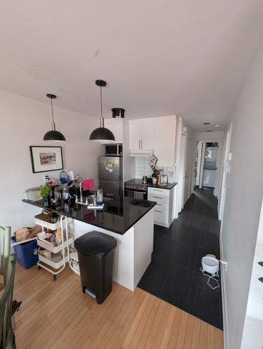 2 bedrooms apartment for rent in Montreal - Le Plateau-Mont-Royal — photo 3