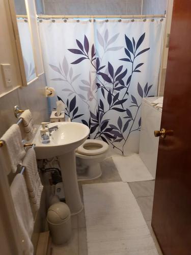 Appartement de 2 chambres à louer à Montreal - Rosemont–La Petite-Patrie — photo 6