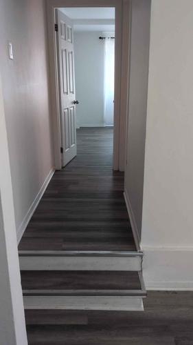 2 bedrooms apartment for rent in Montreal - Rosemont–La Petite-Patrie — photo 3