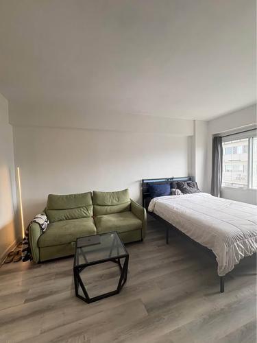 1 bedroom apartment for rent in Montreal - Le Plateau-Mont-Royal — photo 3