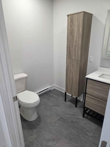 1 bedroom apartment for rent in Montreal - Rivière-des-Prairies–Pointe-aux-Trembles — photo 27