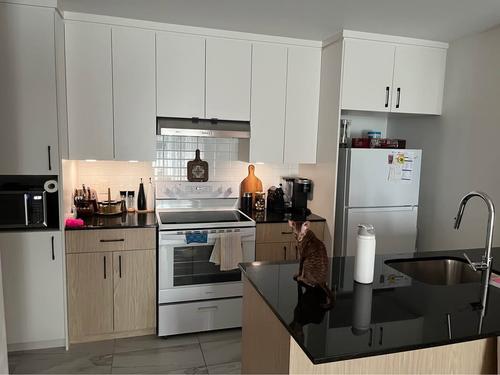 1 bedroom apartment for rent in Lévis — photo 3