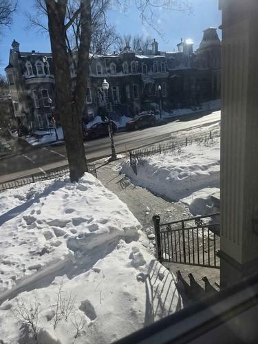 Appartement de 2 chambres à louer à Québec - La Cité-Limoilou — photo 6