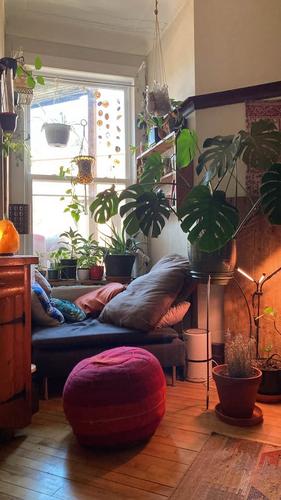 Appartement de 4 chambres à louer à Montreal - Le Plateau-Mont-Royal — photo 26