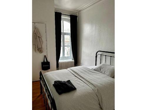 1 bedroom apartment for rent in Lévis — photo 5