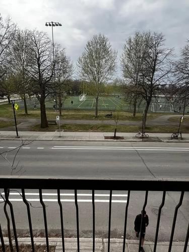 1 bedroom apartment for rent in Montreal - Villeray–Saint-Michel–Parc-Extension — photo 3
