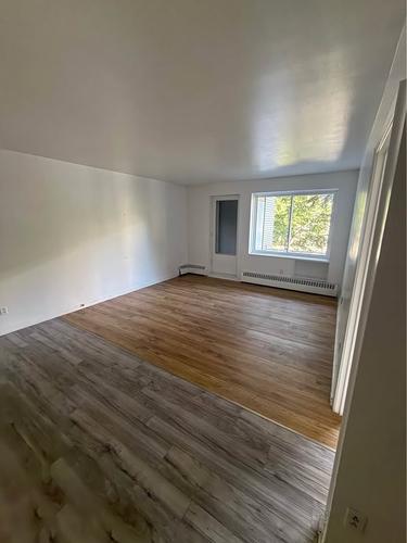 1 bedroom apartment for rent in Montreal - Le Plateau-Mont-Royal — photo 9