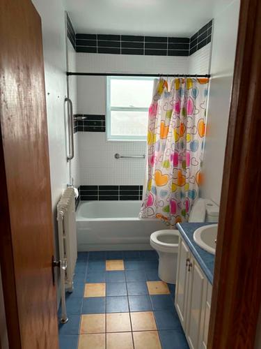 Appartement de 2 chambres à louer à Montreal - Rosemont–La Petite-Patrie — photo 4