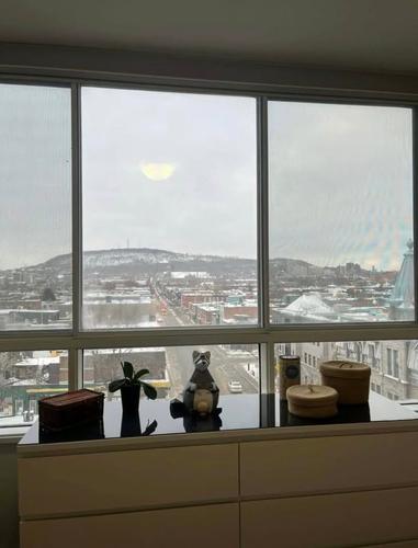 1 bedroom apartment for rent in Montreal - Le Plateau-Mont-Royal — photo 8