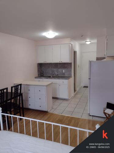 Studio for rent in Montreal - Le Plateau-Mont-Royal — photo 2