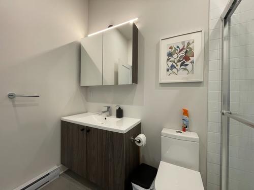 Appartement de 1 chambre à louer à Montreal - Le Plateau-Mont-Royal — photo 11