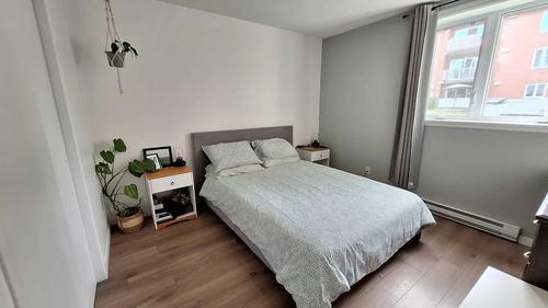 Appartement de 2 chambres à louer à Québec - La Cité-Limoilou — photo 4