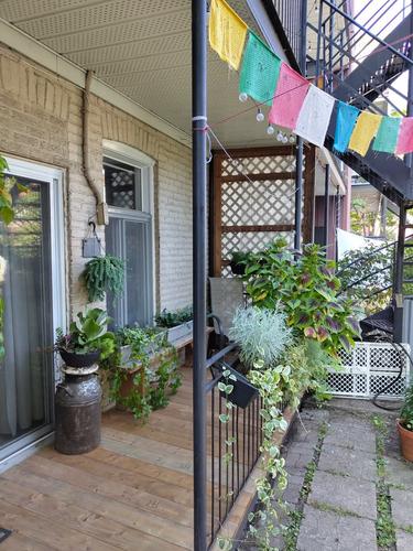 Studio à louer à Montreal - Ville-Marie — photo 5