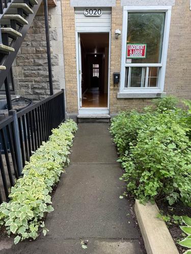 Appartement de 1 chambre à louer à Montreal - Le Plateau-Mont-Royal — photo 4