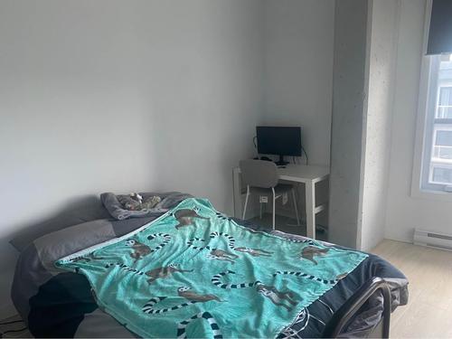2 bedrooms apartment for rent in Lévis — photo 7