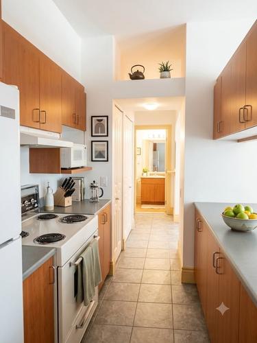 Appartement de 2 chambres à louer à Montreal - Le Plateau-Mont-Royal — photo 8