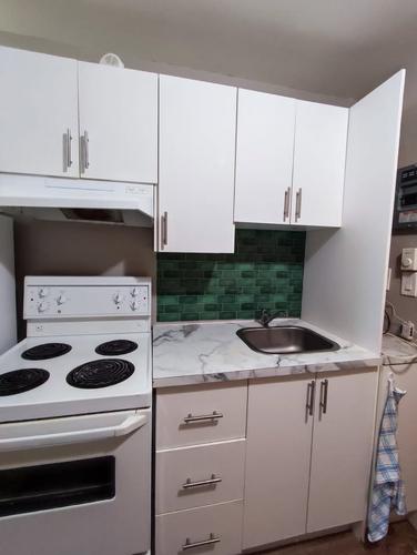 1 bedroom apartment for rent in Montreal - Le Plateau-Mont-Royal — photo 11