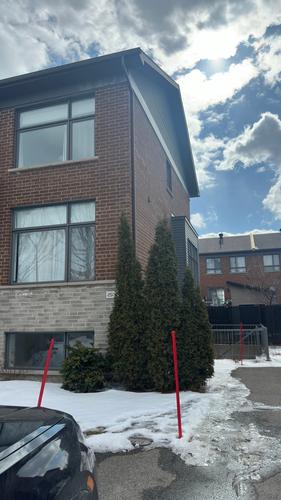 Appartement de 1 chambre à louer à Longueuil — photo 2