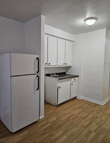 Appartement de 1 chambre à louer à Montreal - Rosemont–La Petite-Patrie — photo 3