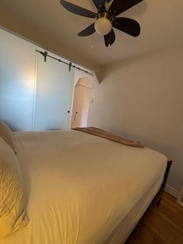 1 bedroom apartment for rent in Montreal - Rosemont–La Petite-Patrie — photo 11
