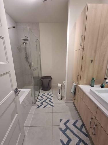 1 bedroom apartment for rent in Gatineau — photo 8