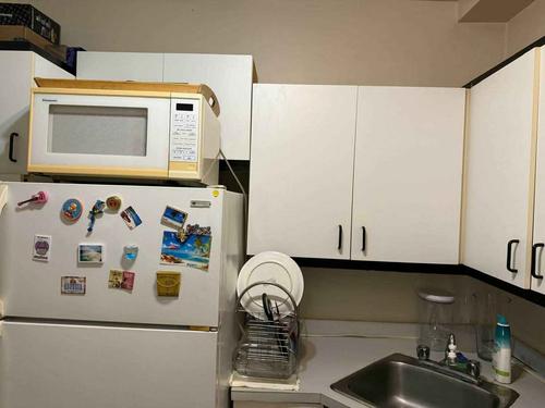 Appartement de 1 chambre à louer à Montreal - Le Plateau-Mont-Royal — photo 10