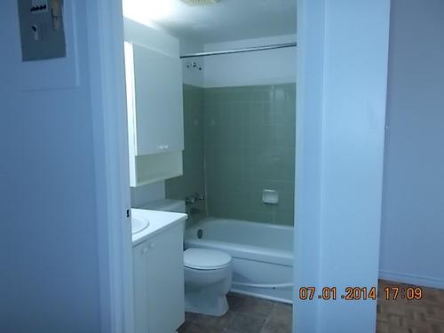 Appartement de 1 chambre à louer à Gatineau — photo 8