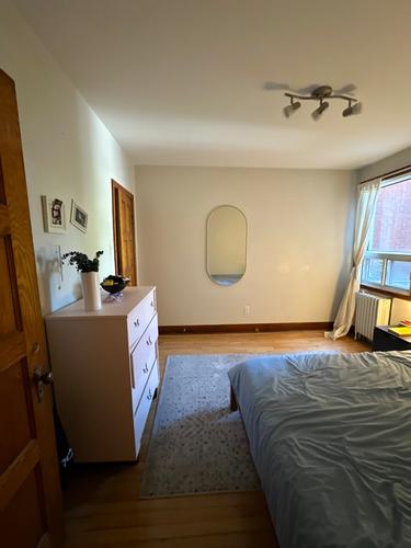 1 bedroom apartment for rent in Montreal - Le Plateau-Mont-Royal — photo 10
