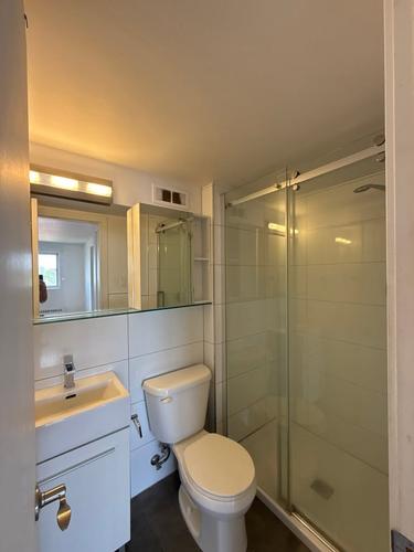 2 bedrooms apartment for rent in Montreal - Rosemont–La Petite-Patrie — photo 8