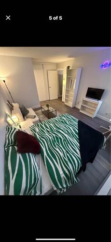 1 bedroom apartment for rent in Montreal - Le Plateau-Mont-Royal — photo 4