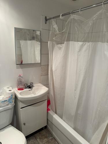 1 bedroom apartment for rent in Montreal - Le Plateau-Mont-Royal — photo 4