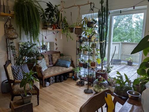 2 bedrooms apartment for rent in Sherbrooke — photo 2