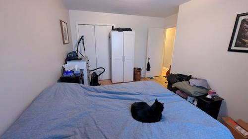 Appartement de 3 chambres à louer à Québec - La Cité-Limoilou — photo 15