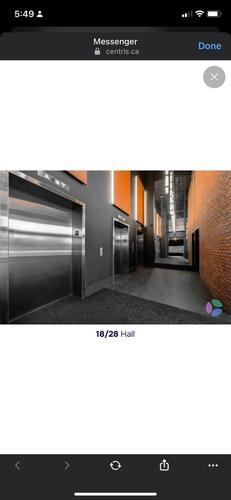 Appartement de 2 chambres à louer à Longueuil — photo 14