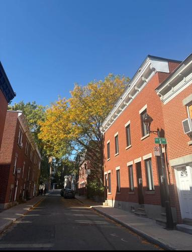 1 bedroom apartment for rent in Montreal - Ville-Marie — photo 10