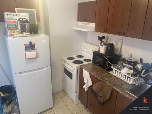 1 bedroom apartment for rent in Montreal - Le Plateau-Mont-Royal — photo 4