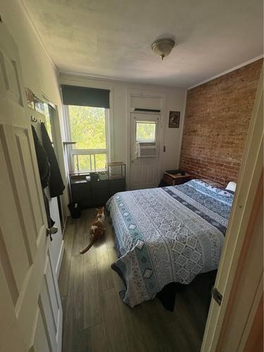 1 bedroom apartment for rent in Montreal - Le Plateau-Mont-Royal — photo 3