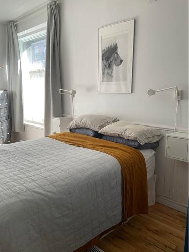 4 bedrooms apartment for rent in Montreal - Le Plateau-Mont-Royal — photo 11