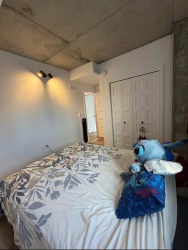 Appartement de 2 chambres à louer à Québec - La Cité-Limoilou — photo 10