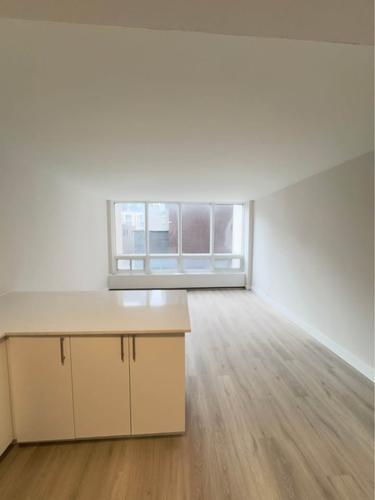 1 bedroom apartment for rent in Montreal - Ville-Marie — photo 7